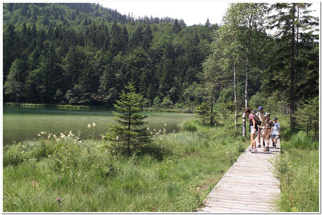 Aktivhotel & Gasthof Schmelz Ihr Urlaubs Hotel In Inzell Mit Wellness Hallenbad, Alpensauna & Dampfbad Luaran gambar